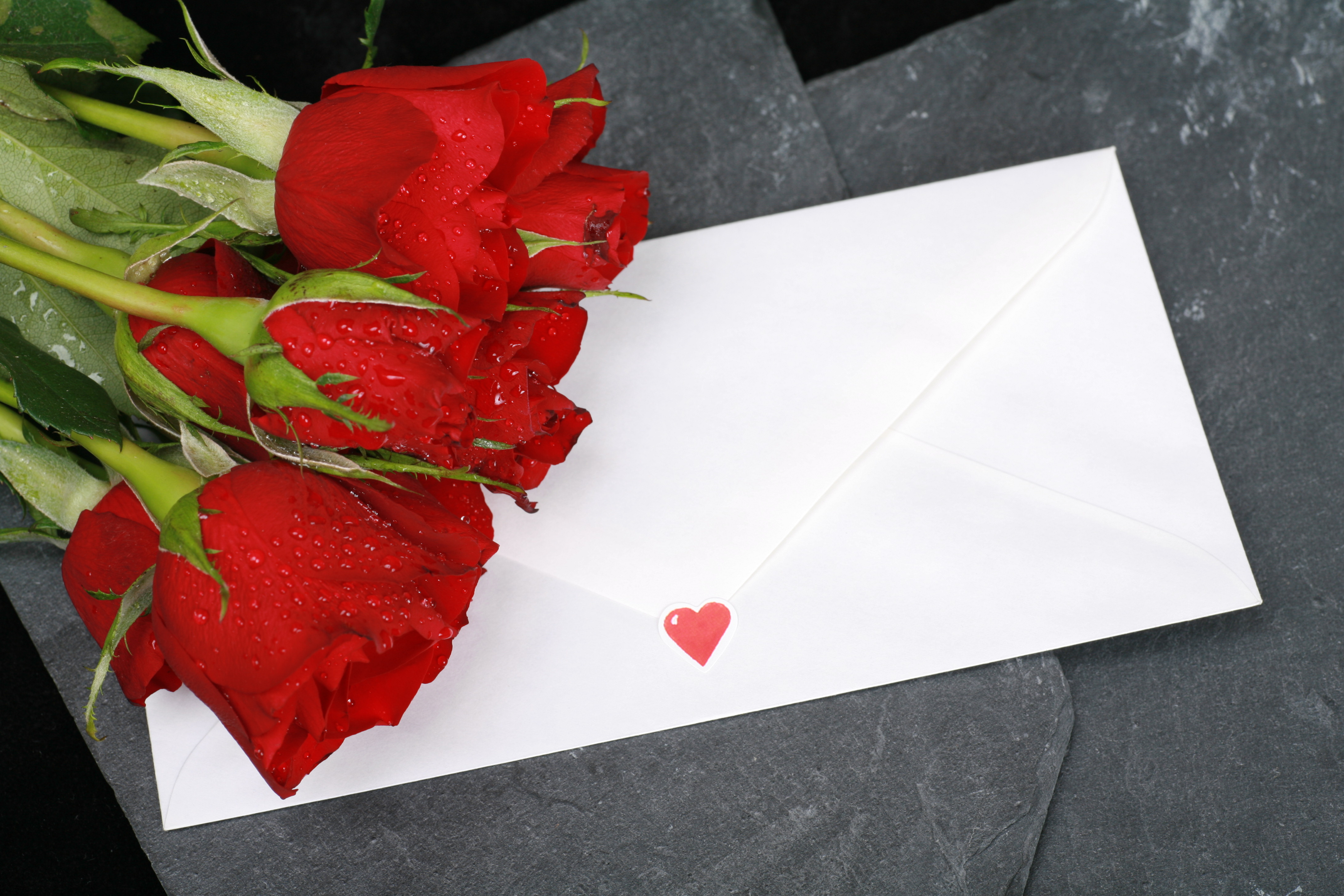 To My Wife - If I die tomorrow, here is what you need to do.